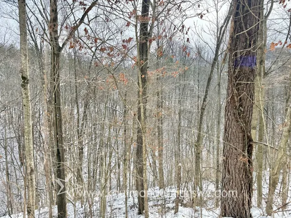 0 Pecan Ln, Dingess, WV 25671