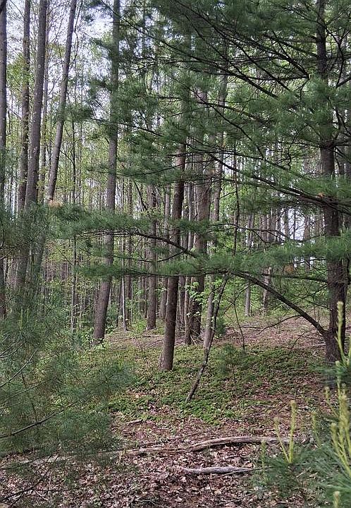 1st image of 0 Teaberry Rd