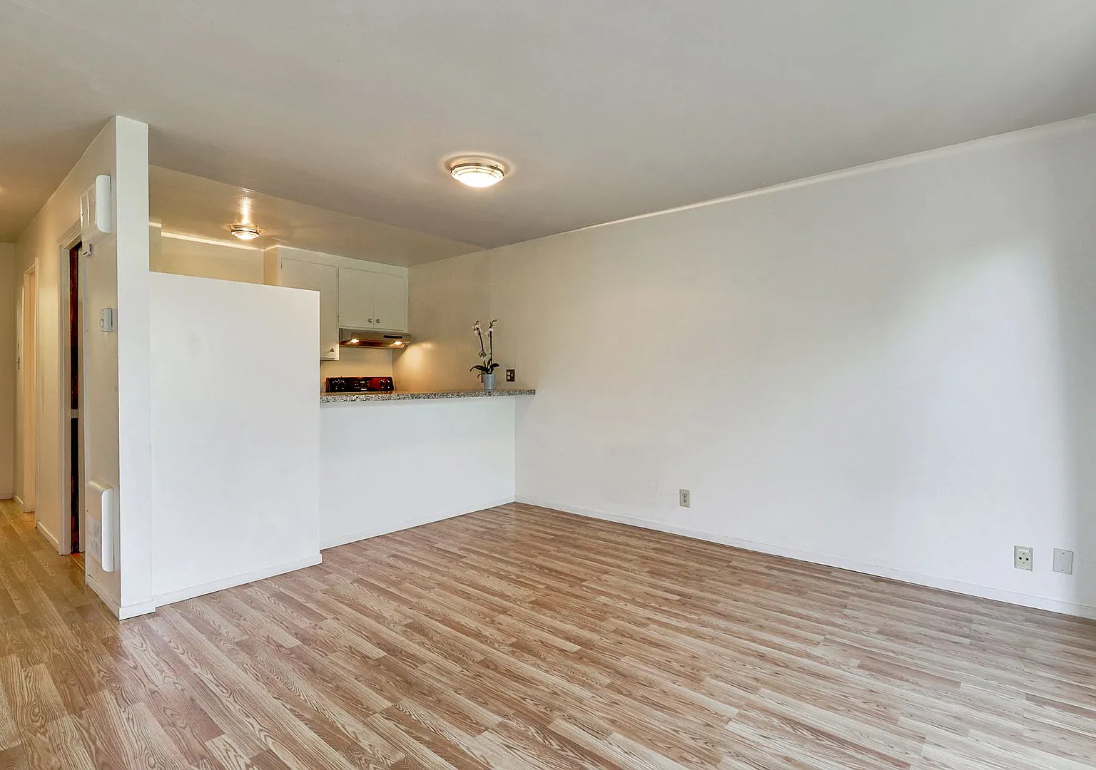 Cozy Top-Floor Studio in Adam's Point — Photo 1