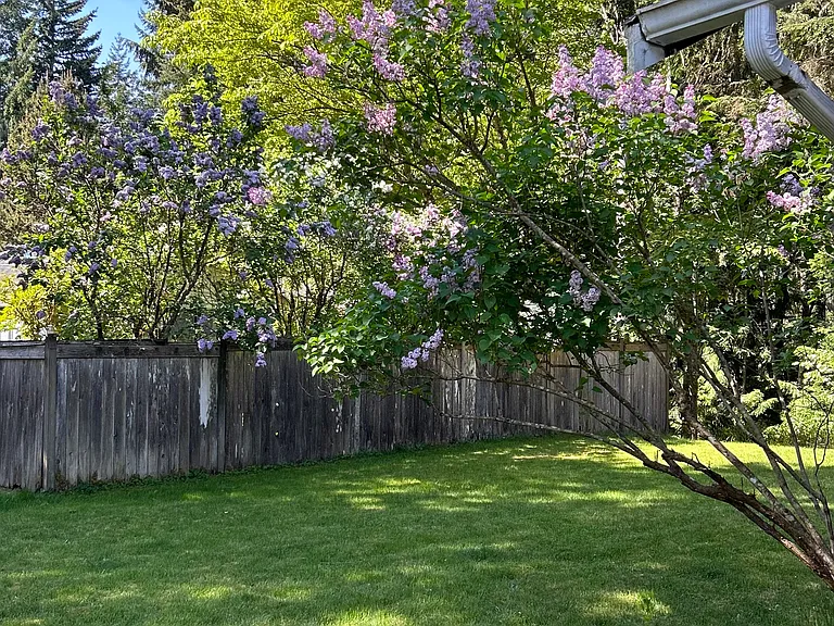 17th Avenue Ct NW — Photo 14