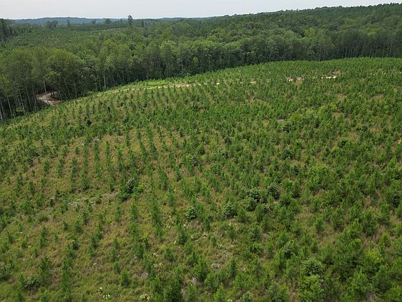 5th image of 5000 Norwood Rd