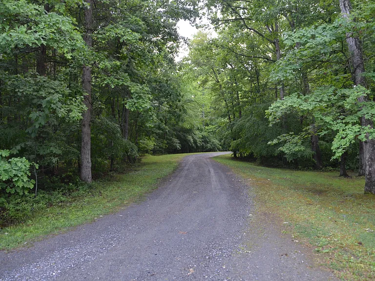 25 Tracey Ln — Photo 10