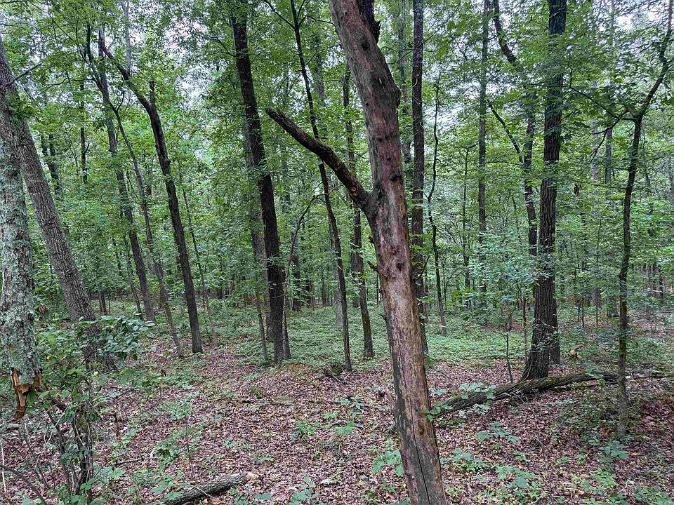 1st image of Pine Dr