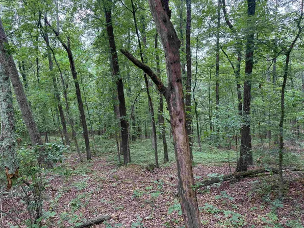 Pine Dr, Heber Springs, AR 72543