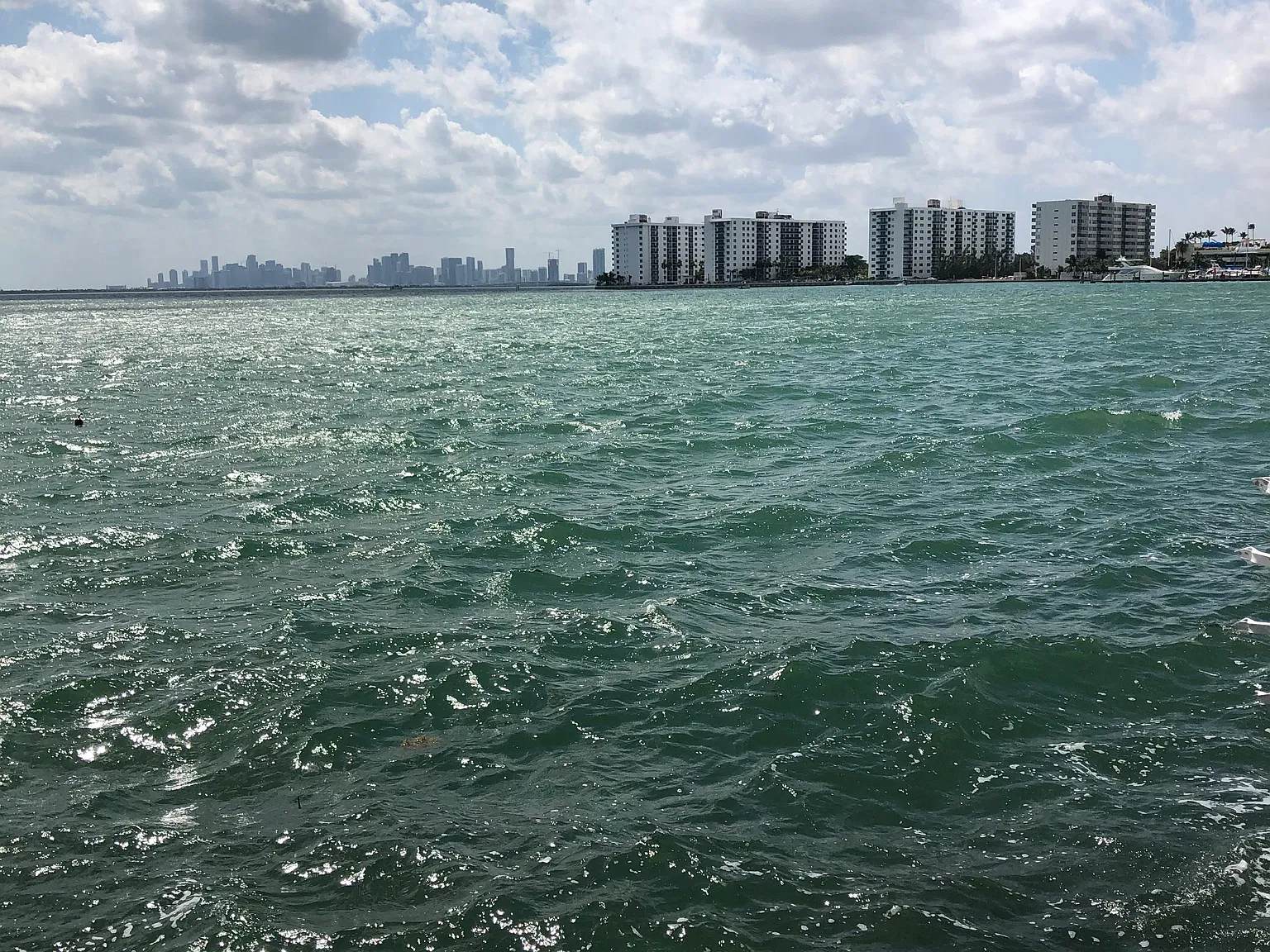 2 bed, 950 sqft, $2,000 — Photo 4