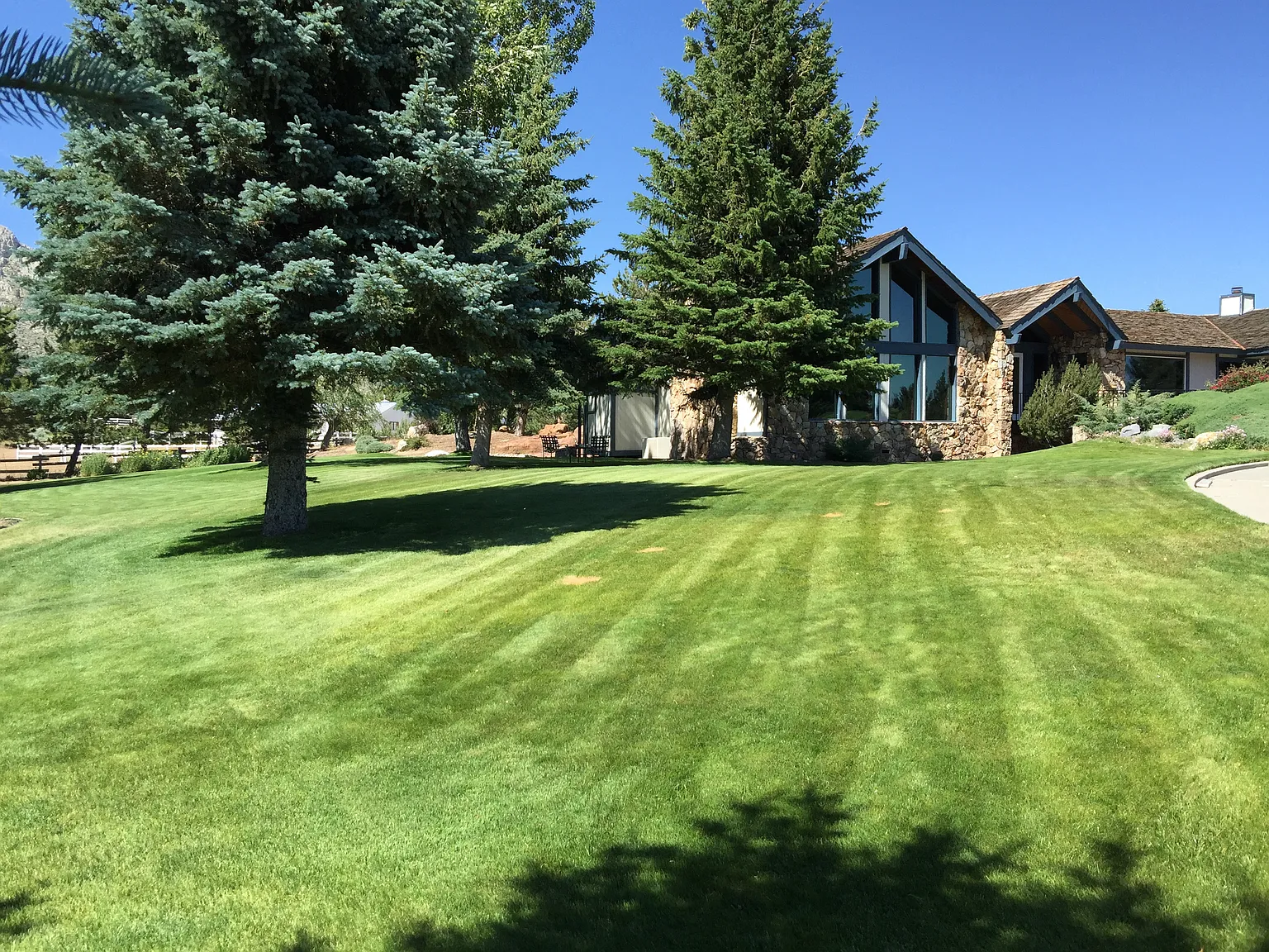 3452 Bernese Ct photo 1