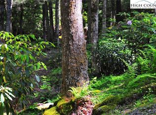 Parallel Rd, Banner Elk, NC 28604