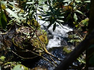 none Highland Gap Road, Scaly Mountain, NC 28775