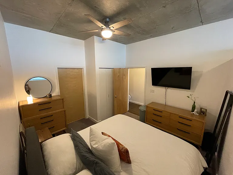 1720 S Michigan Ave #2504 — Photo 11