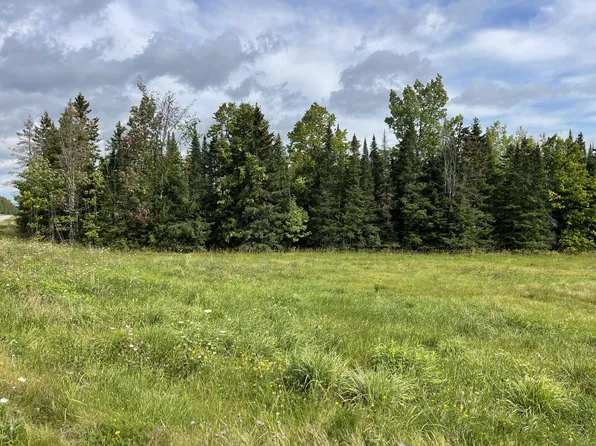 0 M 28 Cres #381, Newberry, MI 49868