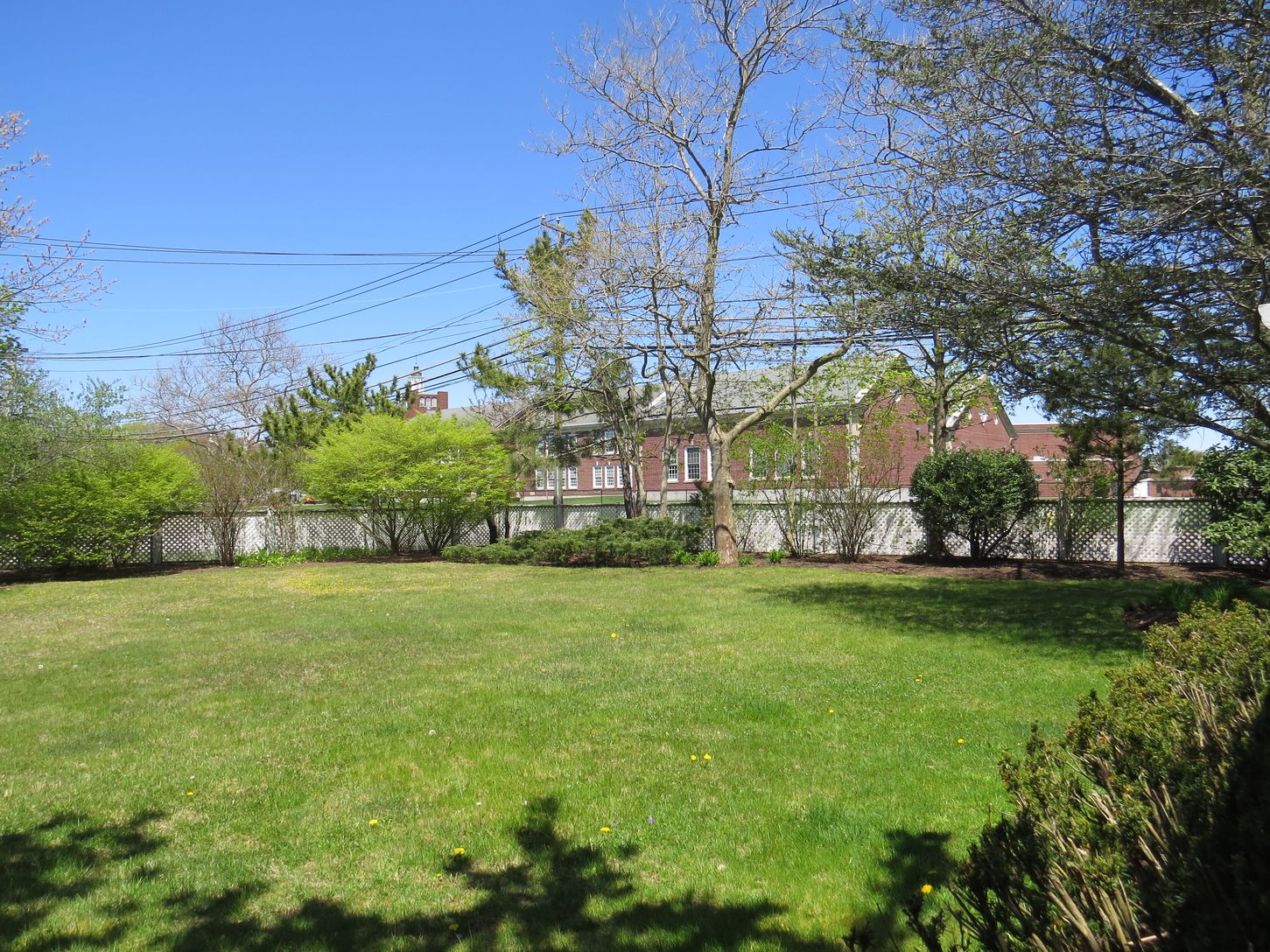  Great Yard for Games!