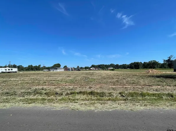 0 County Road 2920, Alba, TX 75410