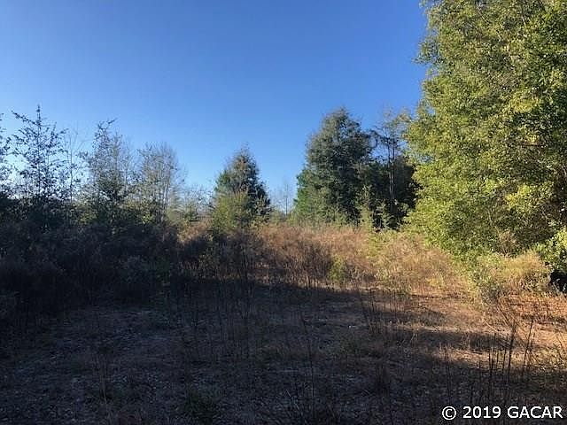 2nd image of 00 SW Tustenuggee Ave