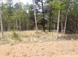 47 Junction Way, Florissant, CO 80816