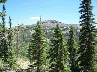 178 W Zion View Dr, Brian Head, UT 84719