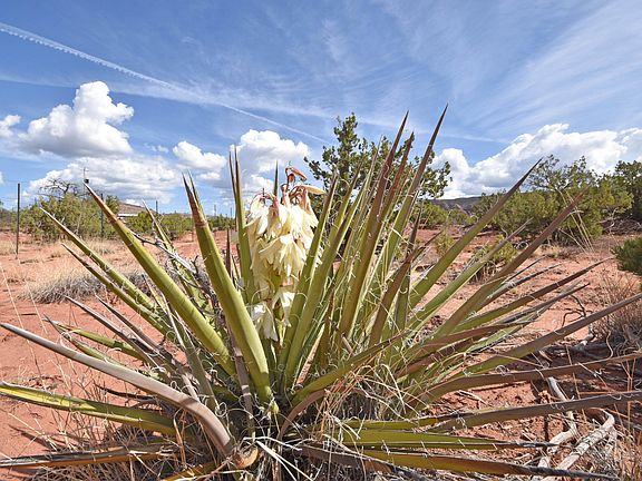 2nd image of 16 Two Jemez Canyon Ests