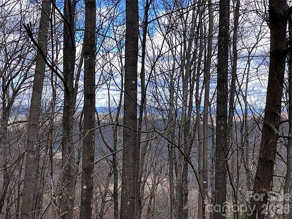 3rd image of Bobcat Mountain Rd #21