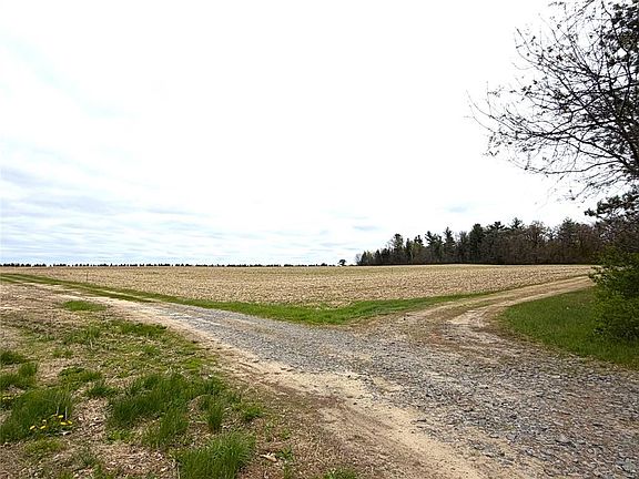 2nd image of 74 acres Sand Prairie Rd.
