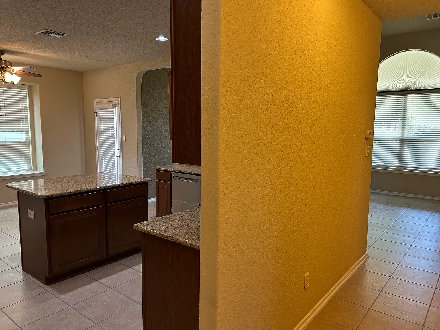 6207 Palmetto Way — Photo 4
