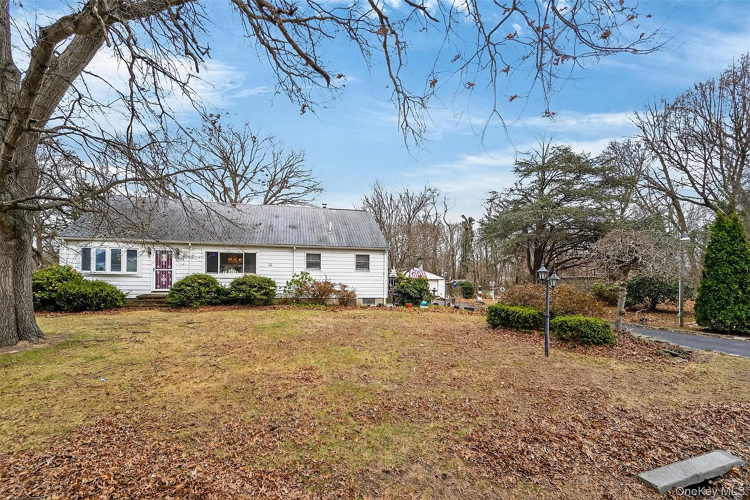 29 Main Avenue photo 1