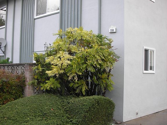5th image of 338 Highland Ave APT 3