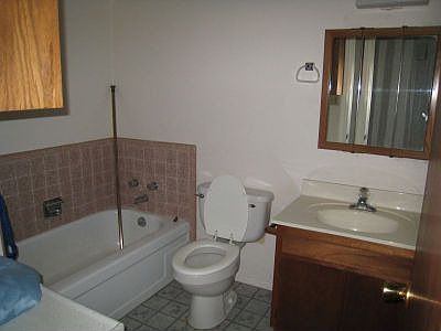hall bathroom