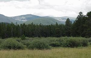 1st image of RANCH CREEK Drive