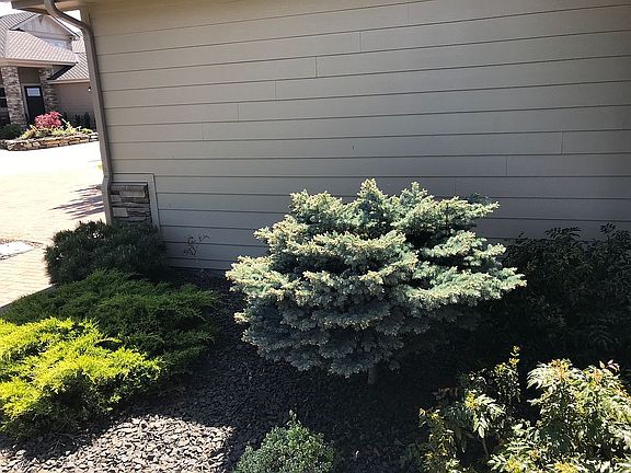 Landscape maintained by HOA.