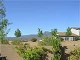 view of Mingus from back yard