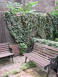 Rented by Oxford Property Group