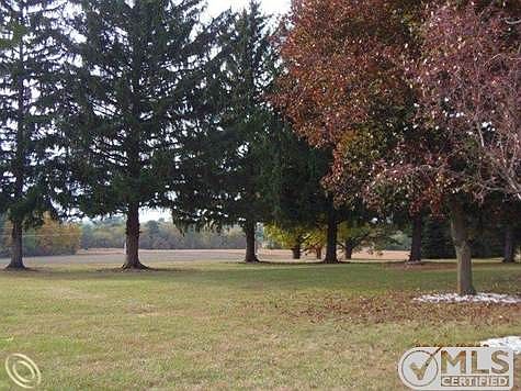 874 Angle front yard.JPG