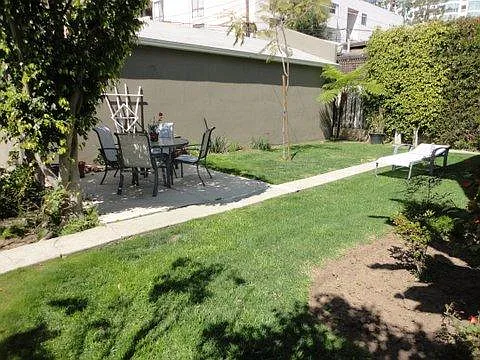 Tennant shared backyard area