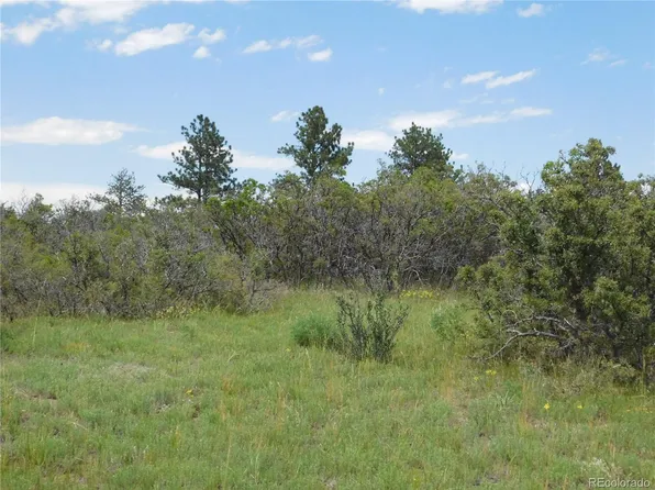 2350 Buttercup Court, Larkspur, CO 80118