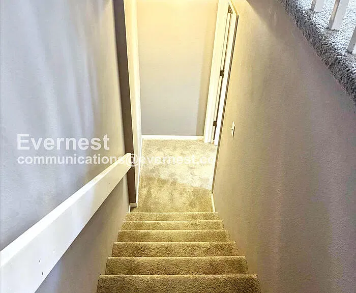 2828 Silverplume Dr #S5 — Photo 19
