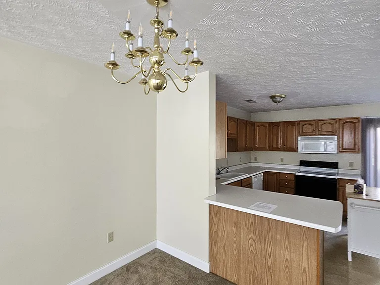 315 Silver Leaf Dr — Photo 29