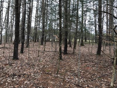 LOT 17 Oak Hollow Rd, Moneta, VA, 24121