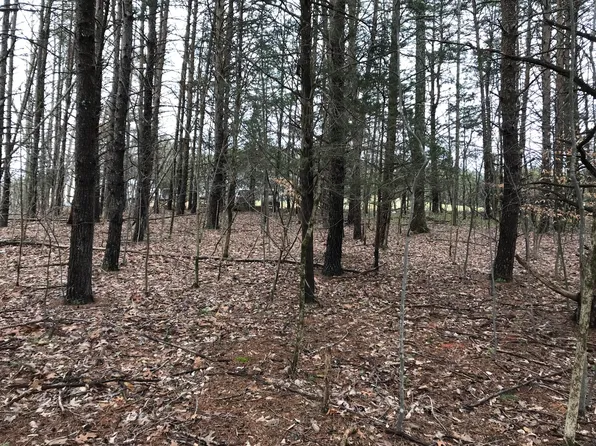 LOT 17 Oak Hollow Rd, Moneta, VA 24121