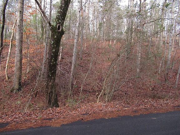 2nd image of 36 Summer Ln Lot 36