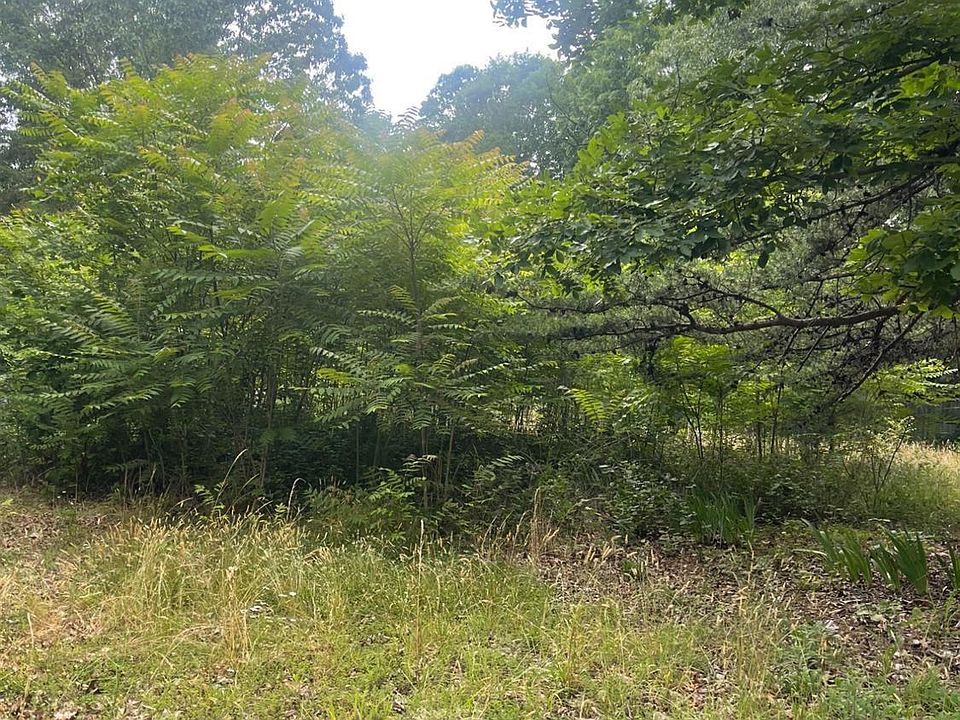 2nd image of 85 Sugarfork Rd
