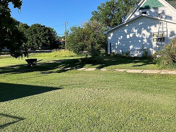 View from the kennel. 