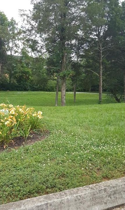 1st image of 257 Maclaren Way