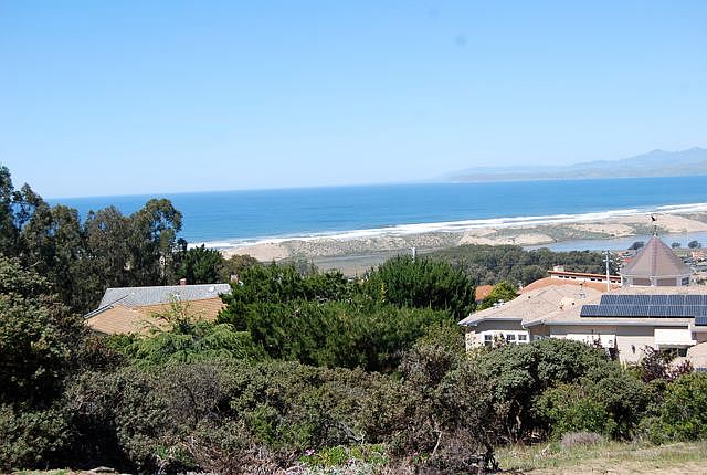 Living Room View