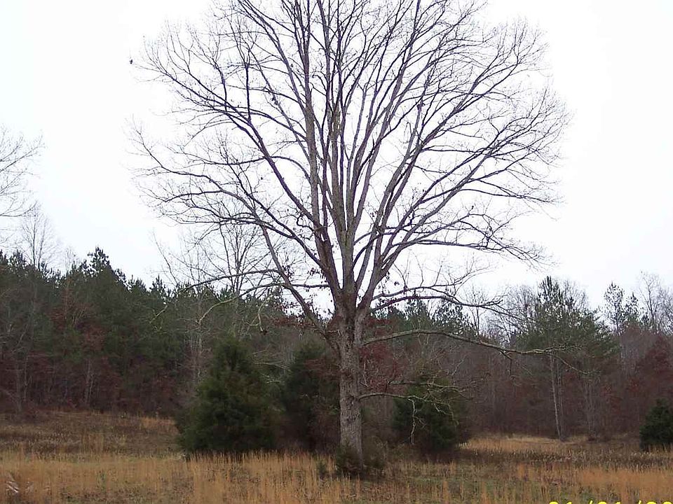 1st image of 288 County Rd