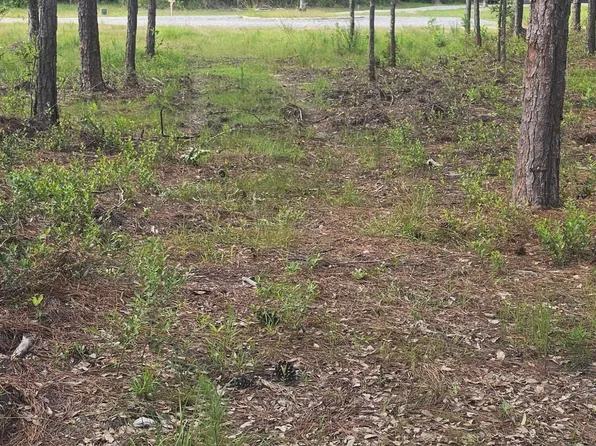 18517 Goff Farm Rd, Moss Pt, MS 39562