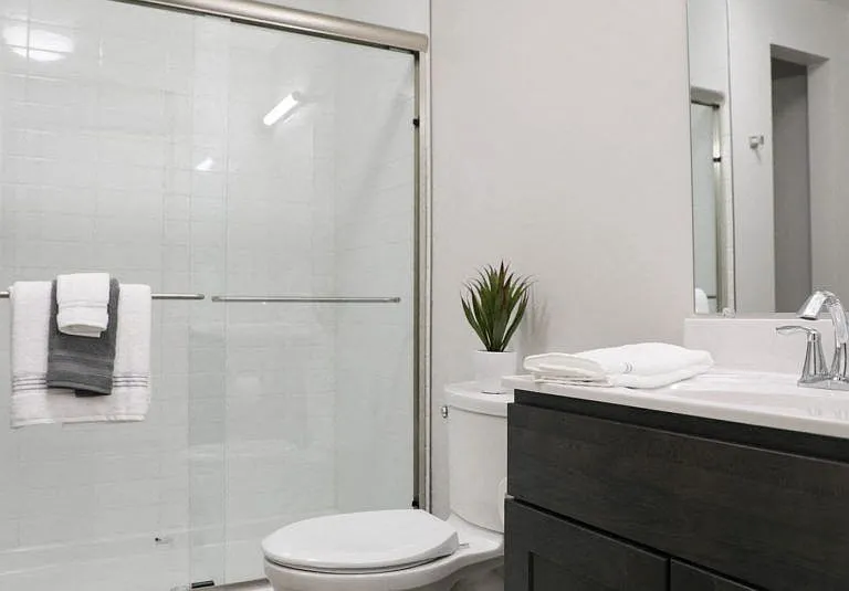 Modern Bath Interior