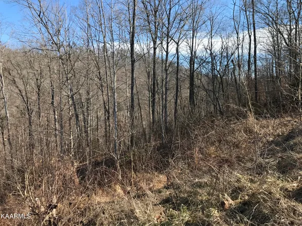 Lot27r 27/28 Emerald Cove Way, Maynardville, TN 37807