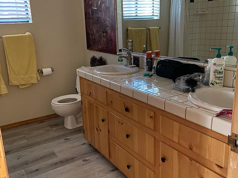 Master bathroom