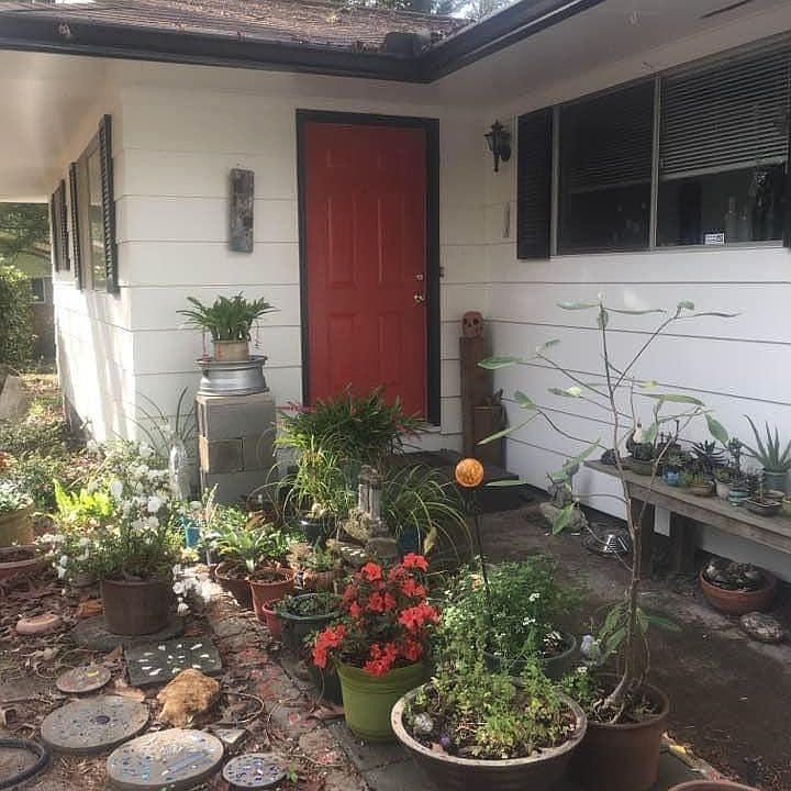 Front door (plants not included :) )