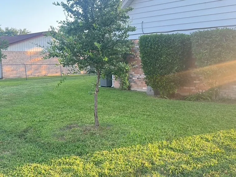 201 Straw Rd — Photo 52