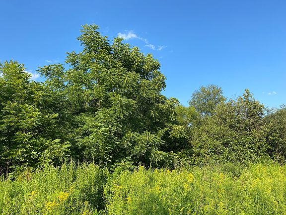 2nd image of 296 Porterfield Hill Rd Lot Wp001
